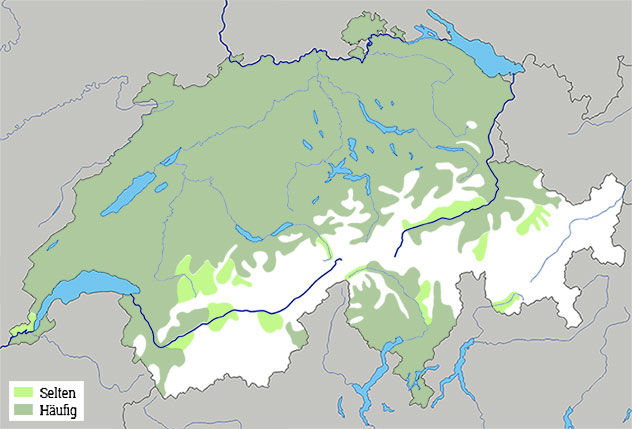 us2_abb.1.jpg