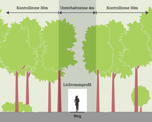 waldbesuch.jpg