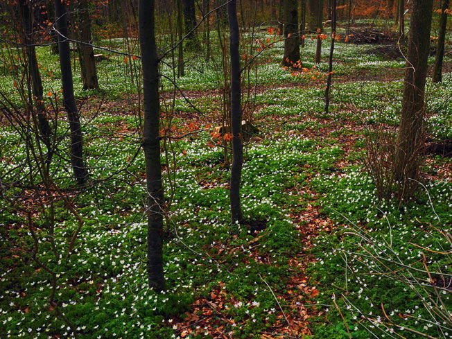 bildergalerie-c.jpg